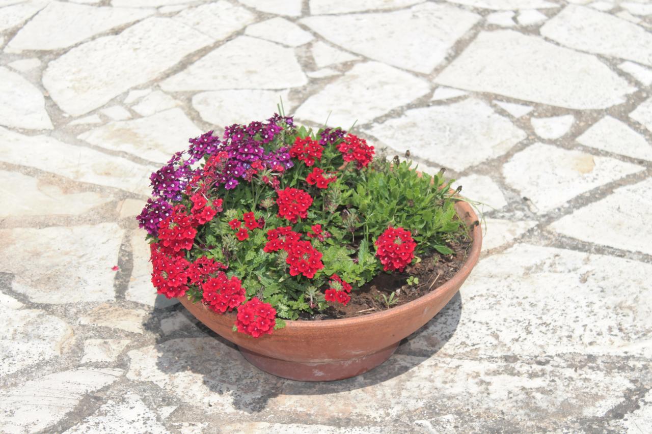 Tenuta Turchi Otranto Buitenkant foto